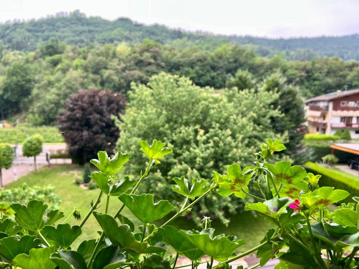 La Finestra Sul Giardino - B&B Cavedine Buitenkant foto