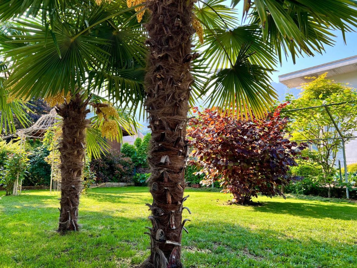 La Finestra Sul Giardino - B&B Cavedine Buitenkant foto